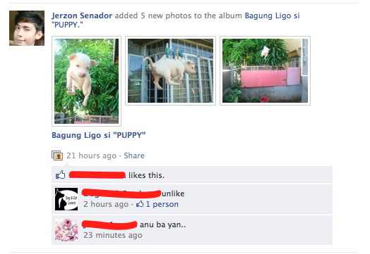 animal cruelty