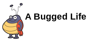 Image result for A BUGGED LIFE.