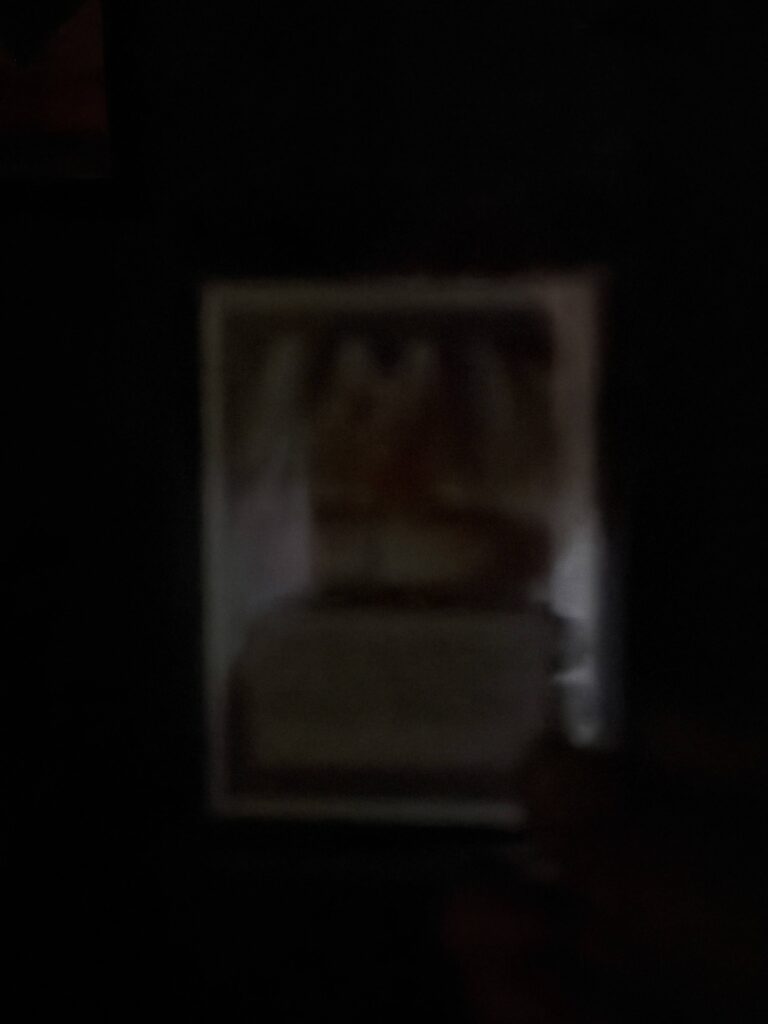 mtg cards low light