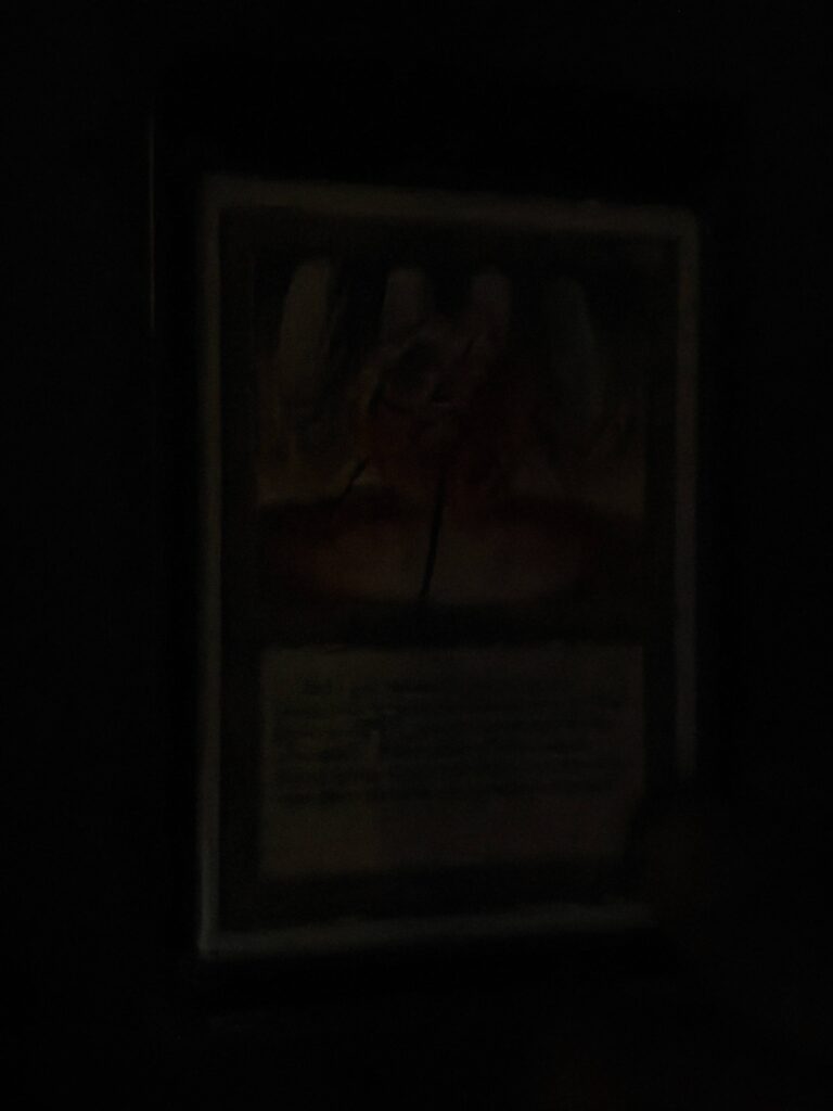 mtg cards low light