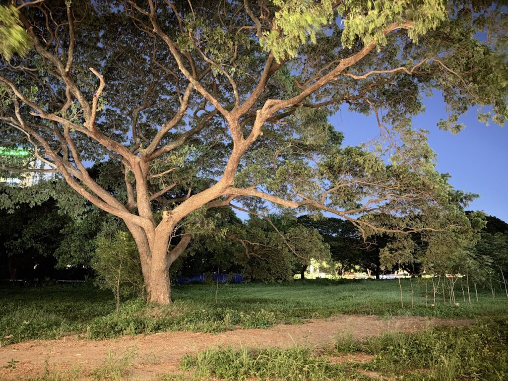 iphone 18 pro max night shot